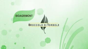 filmato Progetto Bioagrimont - L'esperienza del Broccolo di Torbole - C. Bonomi (MUSE) G. Planchestainer e M. Briosi - Filmato a cura dell'Ufficio Stampa - PAT