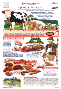 Poster carne e insaccati - edizione 2012